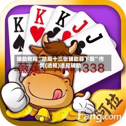 辅助教程“哈局十三张辅助器下载”作弊(透视)透视辅助