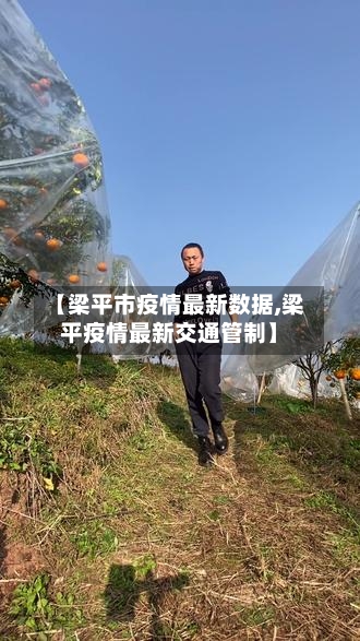 【梁平市疫情最新数据,梁平疫情最新交通管制】-第3张图片