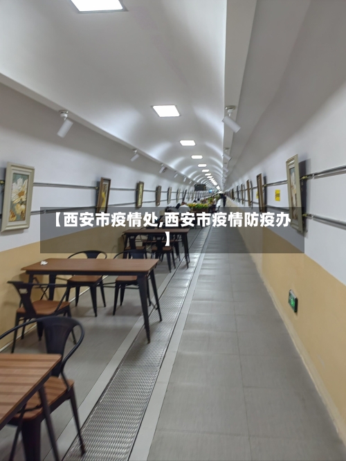 【西安市疫情处,西安市疫情防疫办】