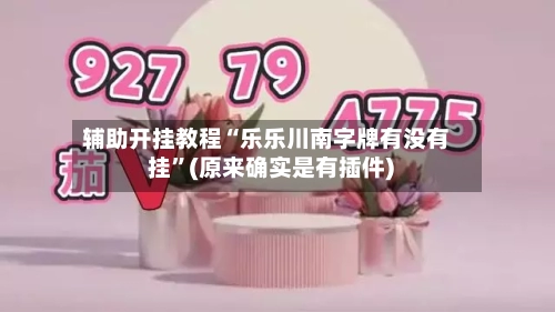 辅助开挂教程“乐乐川南字牌有没有挂	”(原来确实是有插件) -第2张图片