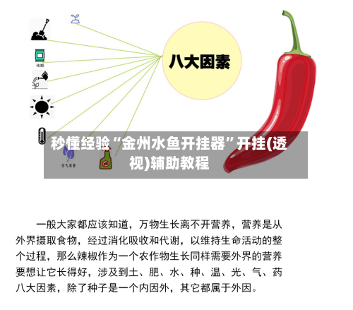 秒懂经验“金州水鱼开挂器”开挂(透视)辅助教程-第2张图片