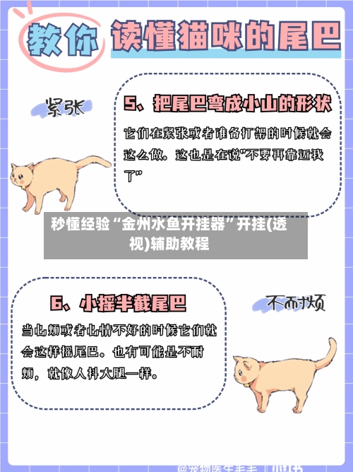 秒懂经验“金州水鱼开挂器”开挂(透视)辅助教程-第3张图片