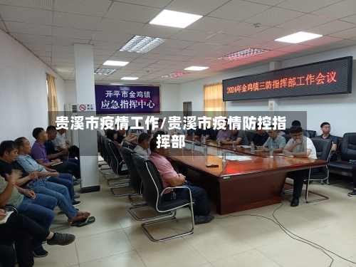 贵溪市疫情工作/贵溪市疫情防控指挥部-第2张图片