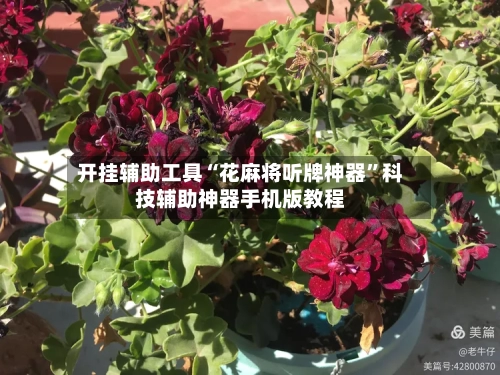开挂辅助工具“花麻将听牌神器”科技辅助神器手机版教程-第3张图片