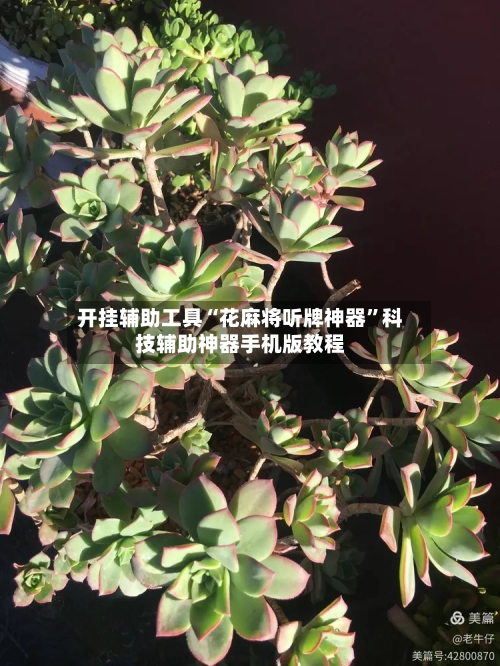 开挂辅助工具“花麻将听牌神器	”科技辅助神器手机版教程-第2张图片