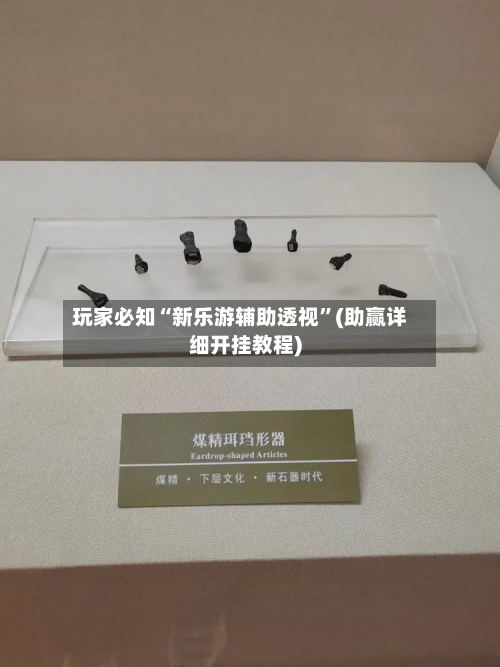 玩家必知“新乐游辅助透视”(助赢详细开挂教程)-第2张图片