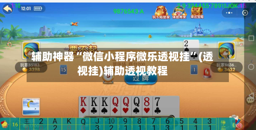 辅助神器“微信小程序微乐透视挂”(透视挂)辅助透视教程-第3张图片