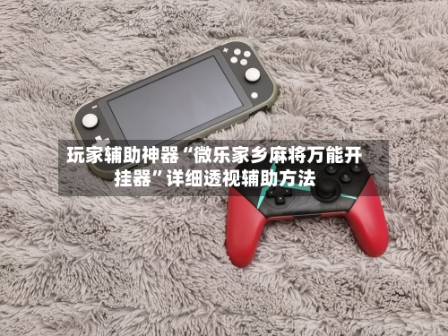 玩家辅助神器“微乐家乡麻将万能开挂器”详细透视辅助方法-第3张图片