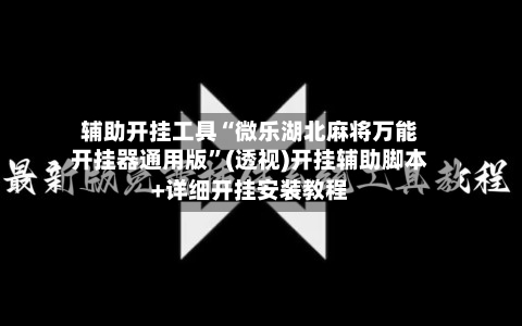 辅助开挂工具“微乐湖北麻将万能开挂器通用版”(透视)开挂辅助脚本+详细开挂安装教程-第3张图片