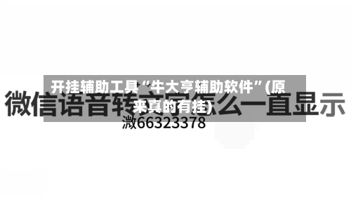 开挂辅助工具“牛大亨辅助软件	”(原来真的有挂)-第3张图片