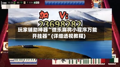 玩家辅助神器“微乐麻将小程序万能开挂器”(详细透视教程)-第2张图片