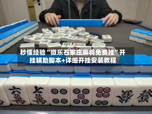 秒懂经验“微乐石家庄麻将免费挂”开挂辅助脚本+详细开挂安装教程-第2张图片