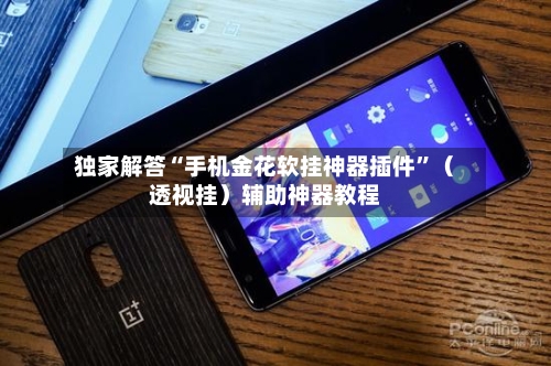 独家解答“手机金花软挂神器插件”（透视挂）辅助神器教程-第2张图片