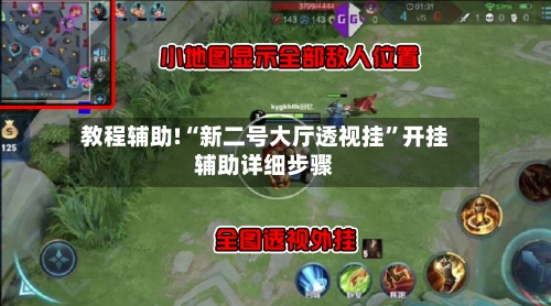 教程辅助!“新二号大厅透视挂”开挂辅助详细步骤-第2张图片