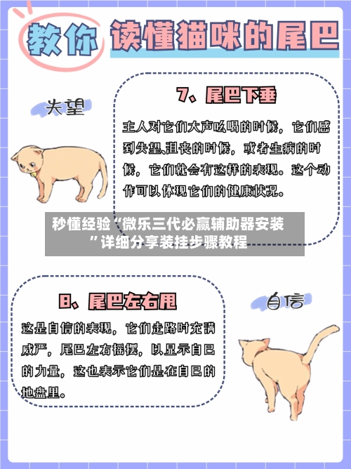 秒懂经验“微乐三代必赢辅助器安装”详细分享装挂步骤教程-第2张图片