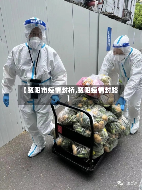 【襄阳市疫情封桥,襄阳疫情封路】-第2张图片