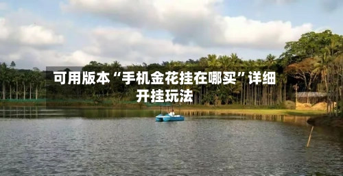 可用版本“手机金花挂在哪买”详细开挂玩法-第2张图片