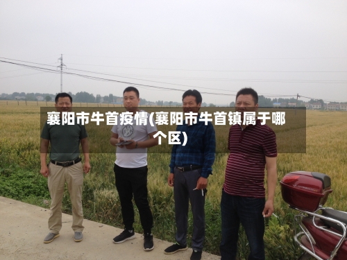 襄阳市牛首疫情(襄阳市牛首镇属于哪个区)