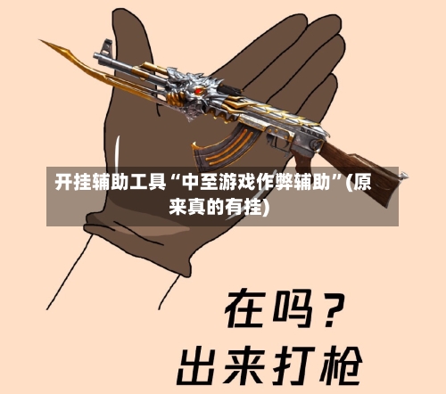 开挂辅助工具“中至游戏作弊辅助	”(原来真的有挂)-第2张图片