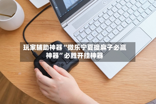 玩家辅助神器“微乐宁夏捉麻子必赢神器”必胜开挂神器-第3张图片