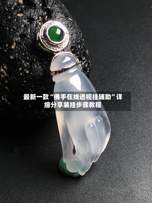 最新一款“佛手在线透视挂辅助”详细分享装挂步骤教程-第2张图片