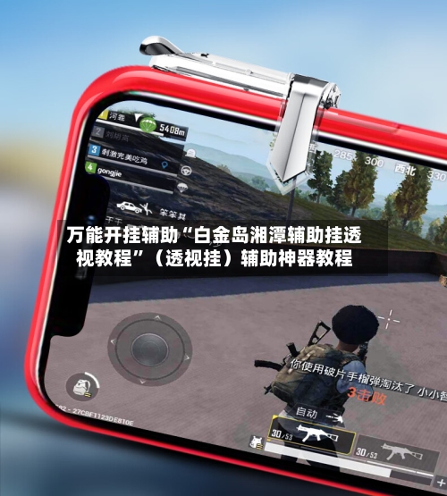 万能开挂辅助“白金岛湘潭辅助挂透视教程”（透视挂）辅助神器教程-第3张图片