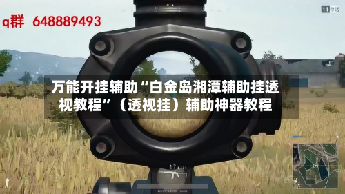 万能开挂辅助“白金岛湘潭辅助挂透视教程”（透视挂）辅助神器教程-第2张图片