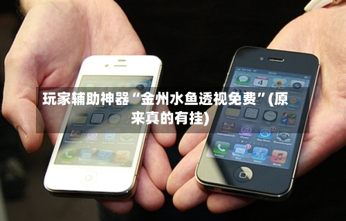 玩家辅助神器“金州水鱼透视免费	”(原来真的有挂)-第2张图片