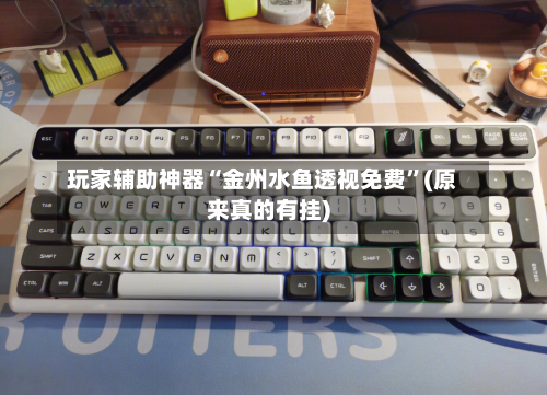 玩家辅助神器“金州水鱼透视免费”(原来真的有挂)-第3张图片