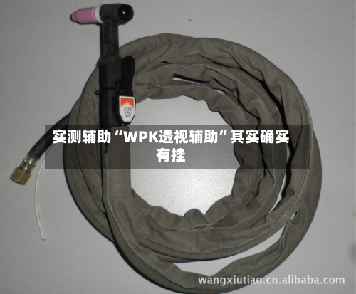 实测辅助“WPK透视辅助”其实确实有挂-第2张图片