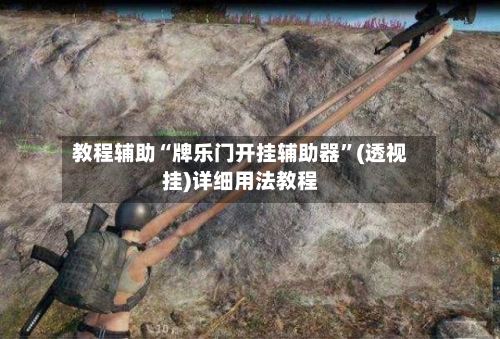 教程辅助“牌乐门开挂辅助器”(透视挂)详细用法教程-第3张图片