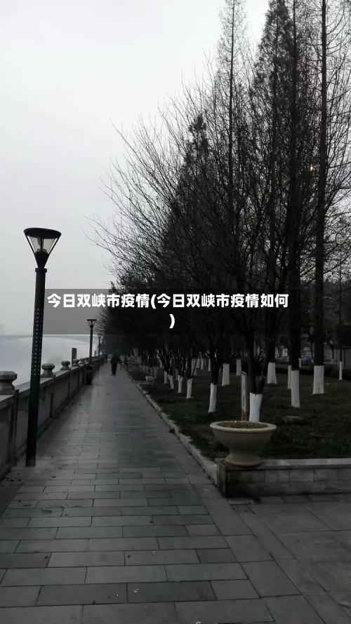 今日双峡市疫情(今日双峡市疫情如何)-第3张图片