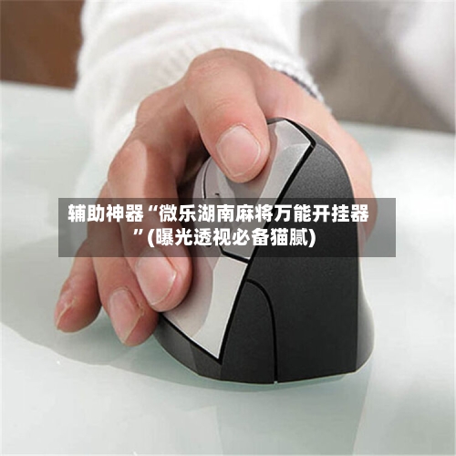 辅助神器“微乐湖南麻将万能开挂器”(曝光透视必备猫腻)-第2张图片