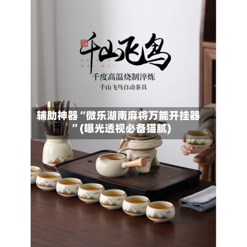 辅助神器“微乐湖南麻将万能开挂器”(曝光透视必备猫腻)-第3张图片