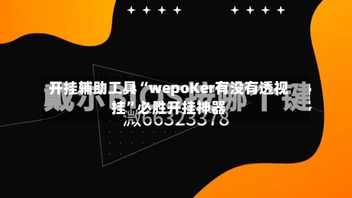 开挂辅助工具“wepoKer有没有透视挂	”必胜开挂神器-第2张图片
