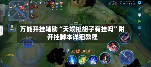 万能开挂辅助“天娱扯胡子有挂吗	”附开挂脚本详细教程-第2张图片