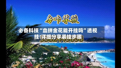 必备科技“血拼金花能开挂吗”透视挂!详细分享装挂步骤-第3张图片