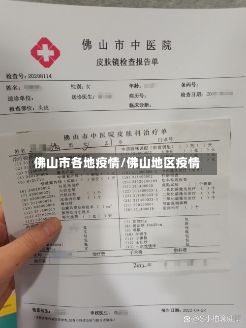 佛山市各地疫情/佛山地区疫情