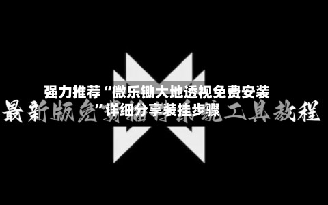 强力推荐“微乐锄大地透视免费安装”详细分享装挂步骤-第3张图片