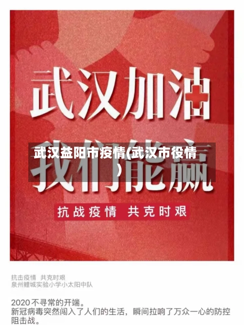 武汉益阳市疫情(武汉市役情)