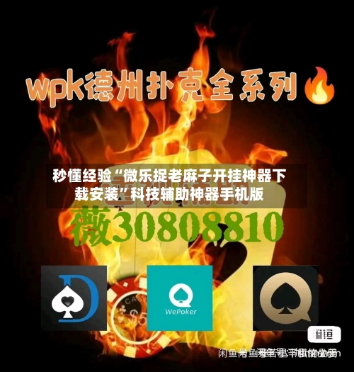 秒懂经验“微乐捉老麻子开挂神器下载安装”科技辅助神器手机版-第2张图片