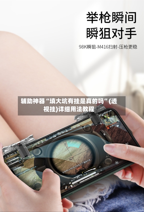 辅助神器“填大坑有挂是真的吗”(透视挂)详细用法教程-第3张图片