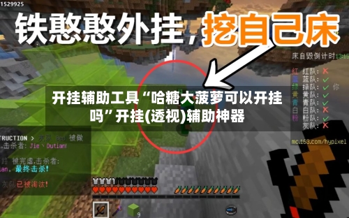 开挂辅助工具“哈糖大菠萝可以开挂吗”开挂(透视)辅助神器-第3张图片