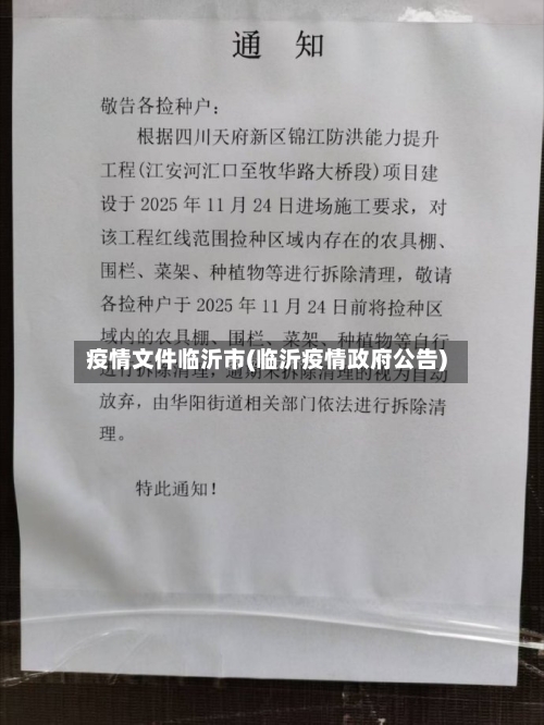 疫情文件临沂市(临沂疫情政府公告)