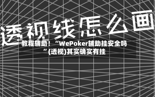 教程辅助！“WePoker辅助挂安全吗”(透视)其实确实有挂
