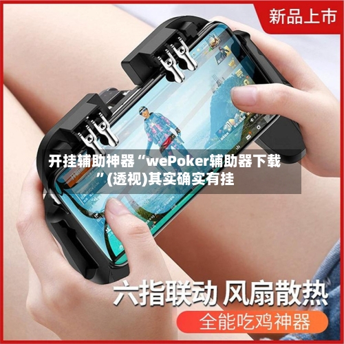 开挂辅助神器“wePoker辅助器下载”(透视)其实确实有挂-第2张图片