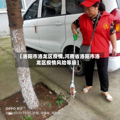【洛阳市洛龙区疫情,河南省洛阳市洛龙区疫情风险等级】