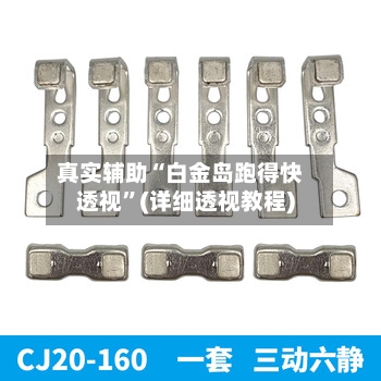 真实辅助“白金岛跑得快透视”(详细透视教程)