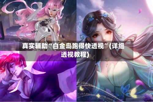 真实辅助“白金岛跑得快透视”(详细透视教程)-第2张图片