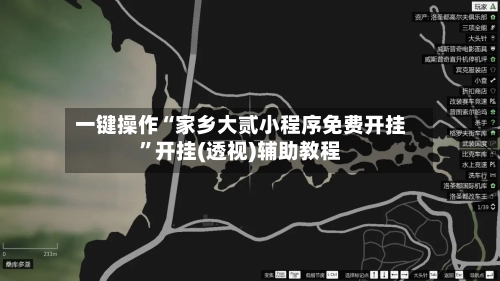 一键操作“家乡大贰小程序免费开挂”开挂(透视)辅助教程-第3张图片